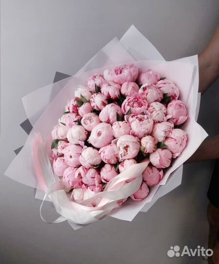 Крупные пионы с беспл. доставкой