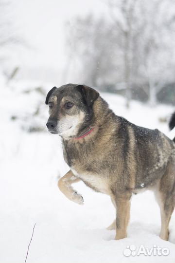 Безупречный красавчик ищет семью