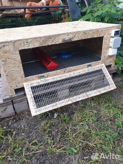 Брудер (Люкс ) для цыплят (перепелов )