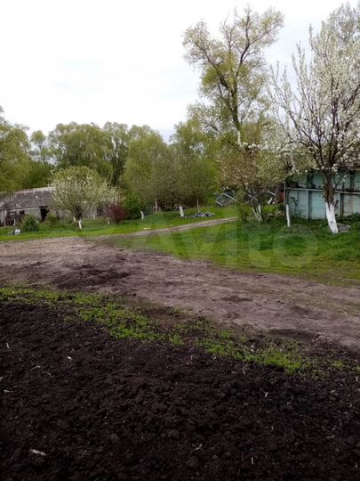 Дом 86 м² на участке 50 сот.