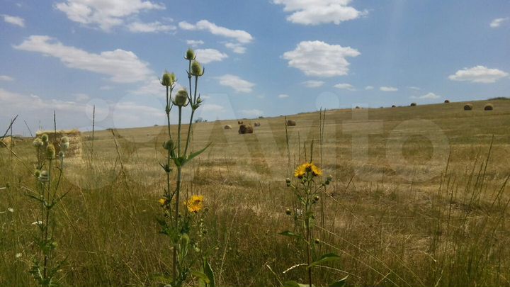 Участок 6 сот. (СНТ, ДНП)