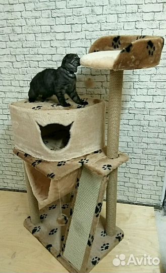 Игровой комплекс для кошек Сабрина