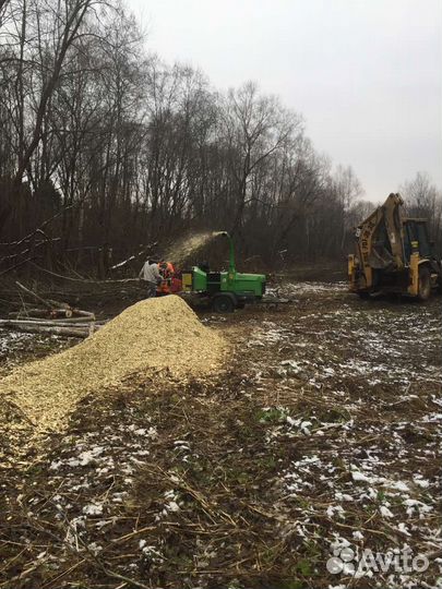 Спилить дерево