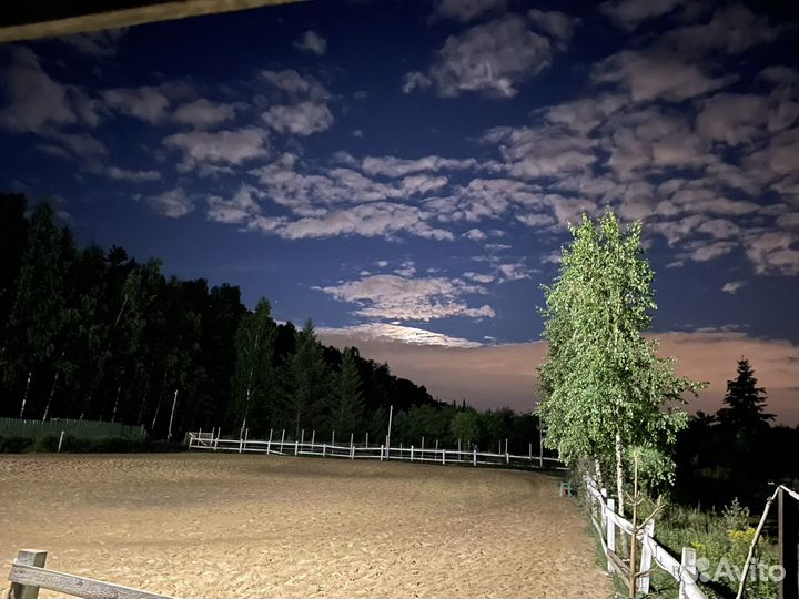 Постой для лошадей