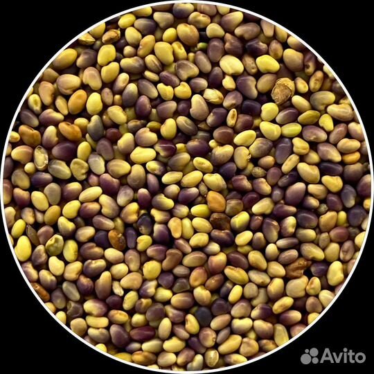 Семена для микрозелени, горох,пшеница, лук, рукола