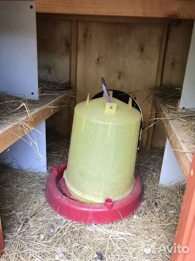 Клетка для птиц