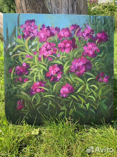 Картина «флоксы»