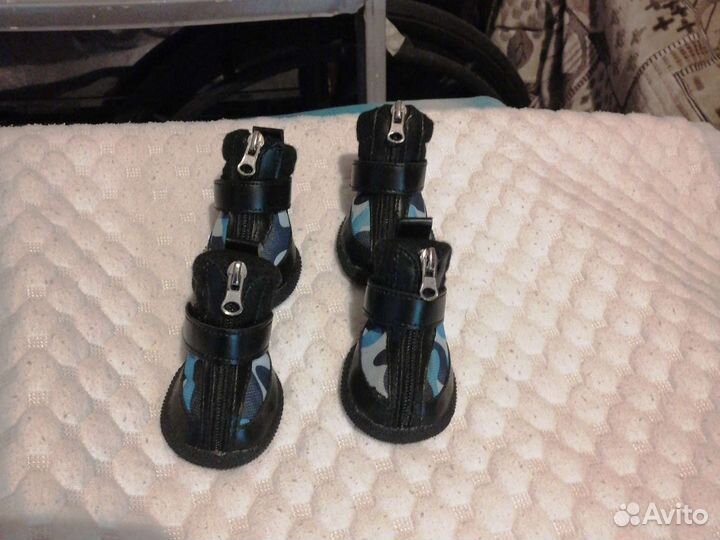 Обувь для маленьких собак