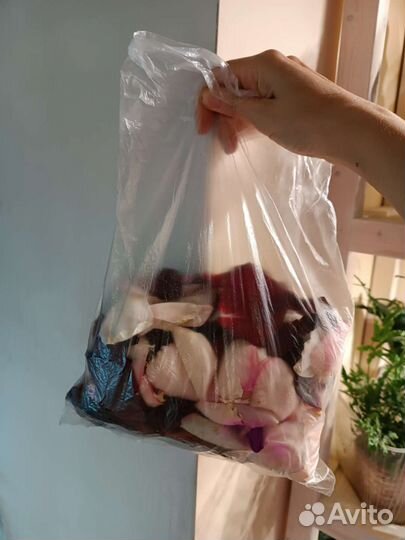 Лепестки Роз, микс