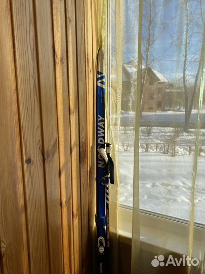 Беговые лыжи