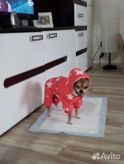 Комбинезон для маленькой собаки зима