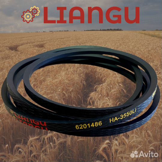 6201486 Ремень Liangu для Рсм