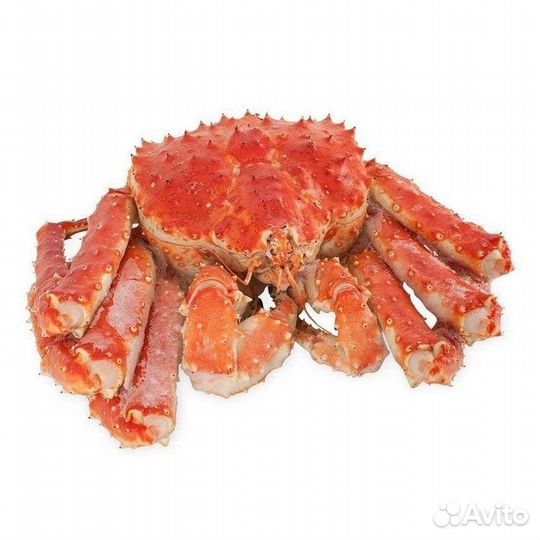 Краб камчатский