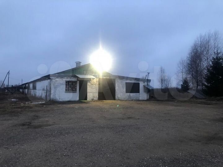 Производство, 1246 м²