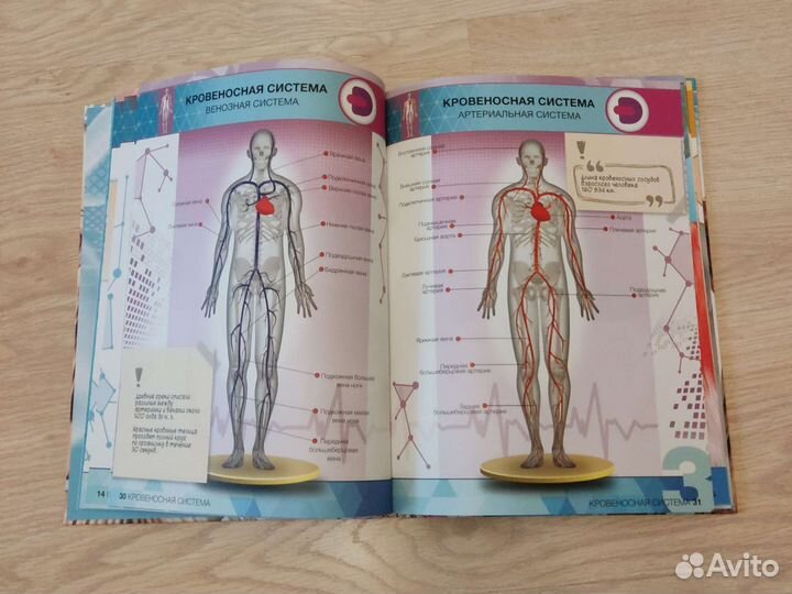 Книги новые