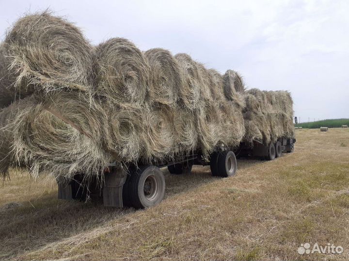 Сено с доставкой степное,луговое