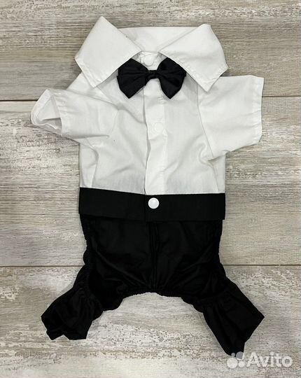 Комбинезоны для собак мелких пород