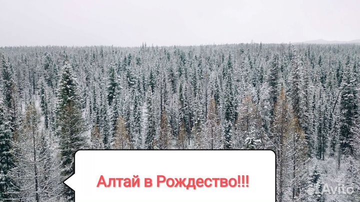 Тур на Алтай