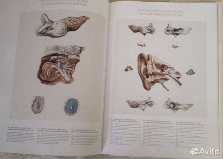 Энциклопедия