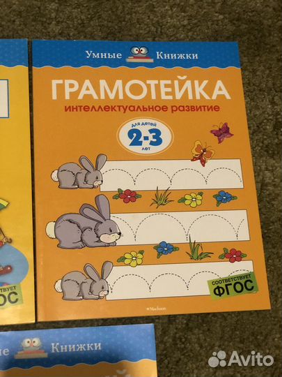 Развивающие пособия для детей 2-3 г, Ольга Земцова