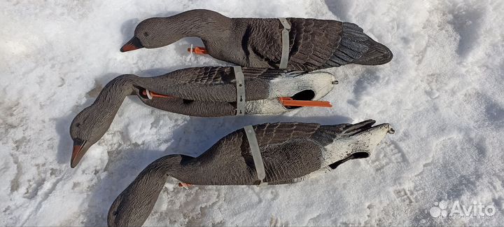 Чучела гусей для охоты