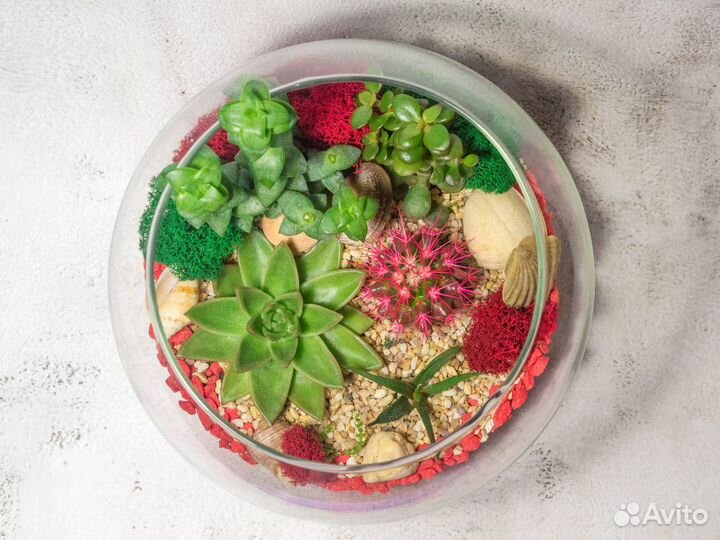 Флорариум в стеклянном шаре