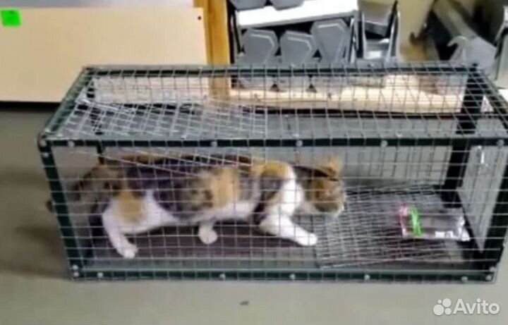 Клетка для отлова кошек и собак