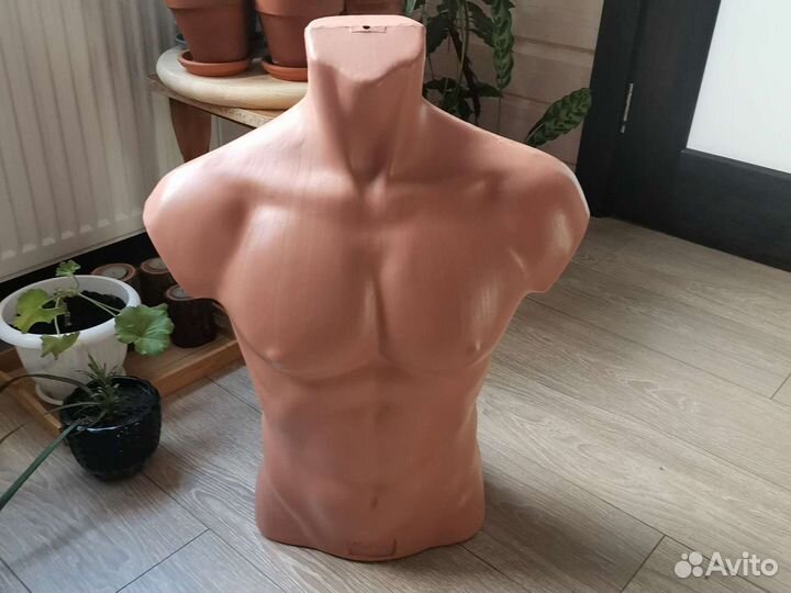 Мужской торс