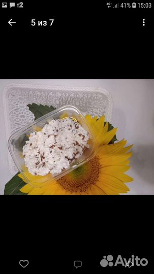 Сыр домашний козий