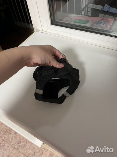 Шлейка для маленькой собаки