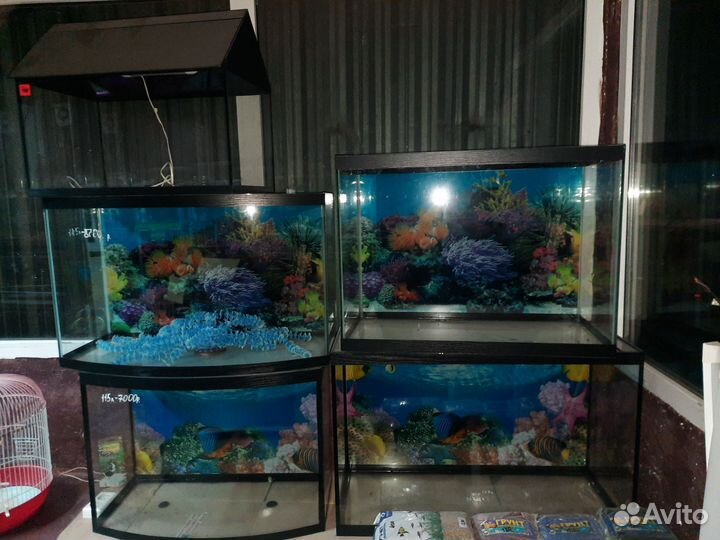 Аквариум и оборудования