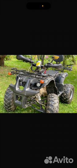 Avantis hunter 8 lux