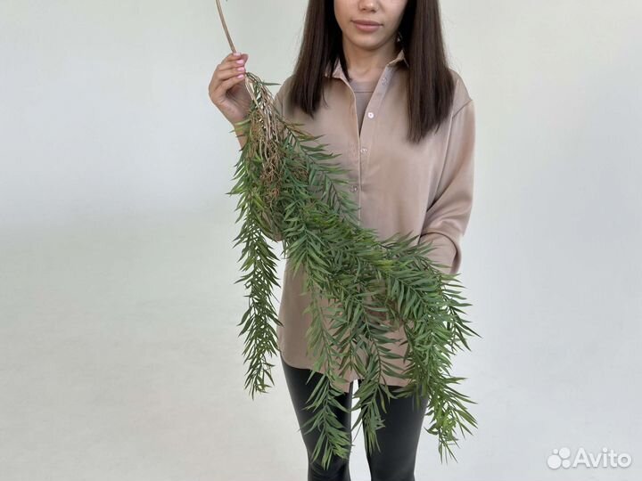 Растения искусственные ампельные свисающие