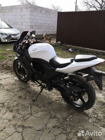 Gx-R 250