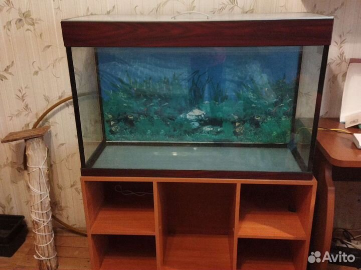 Аквариум