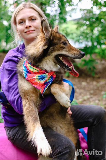 Ждёт хозяев