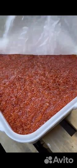 Икра красная