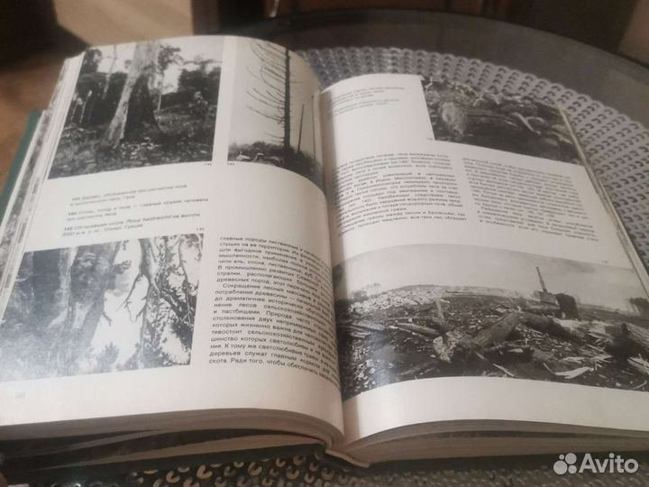 Иллюстрированная энциклопедия лесов