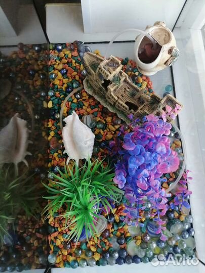 Аквариум и декор