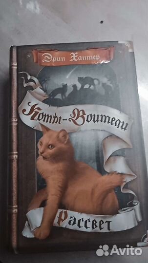 Книги Коты Воители