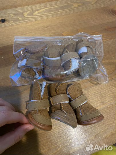 Обувь для собаки, ботинки