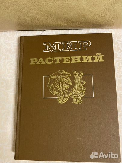 Книга Мир растений. Грибы