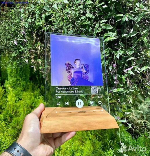 Трек пластинка на стекле (Арт.63747)