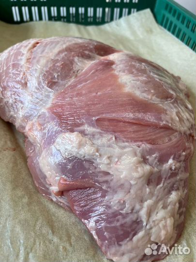 Мясо свинина