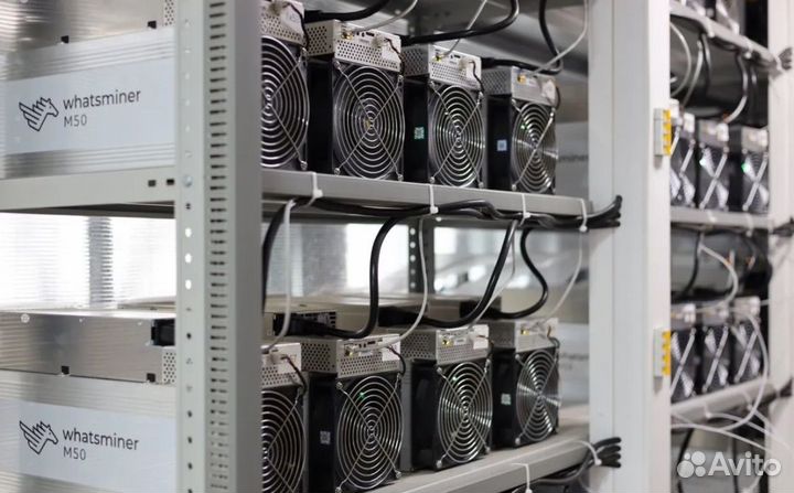 Майнинг ферма M50S 130th лот 10 штук в хостинге