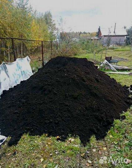 Чернозем Растительный