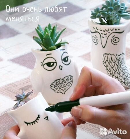 Ангел,Романтик,Совушки,Собачка Травянчики