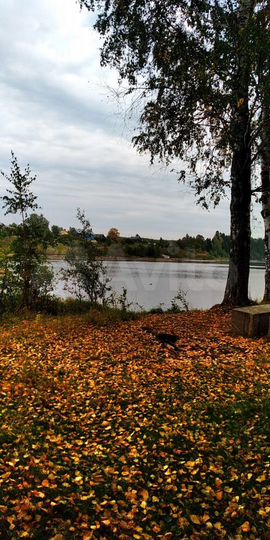 Участок 18 сот. (ИЖС)