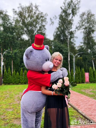 Плюшевые мишки