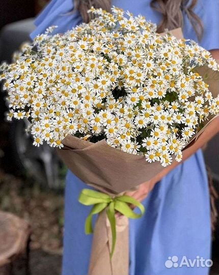 Ромашки Пионы Розы Доставка